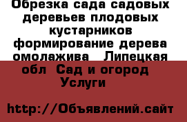 Обрезка сада,садовых деревьев,плодовых кустарников,формирование дерева,омолажива - Липецкая обл. Сад и огород » Услуги   